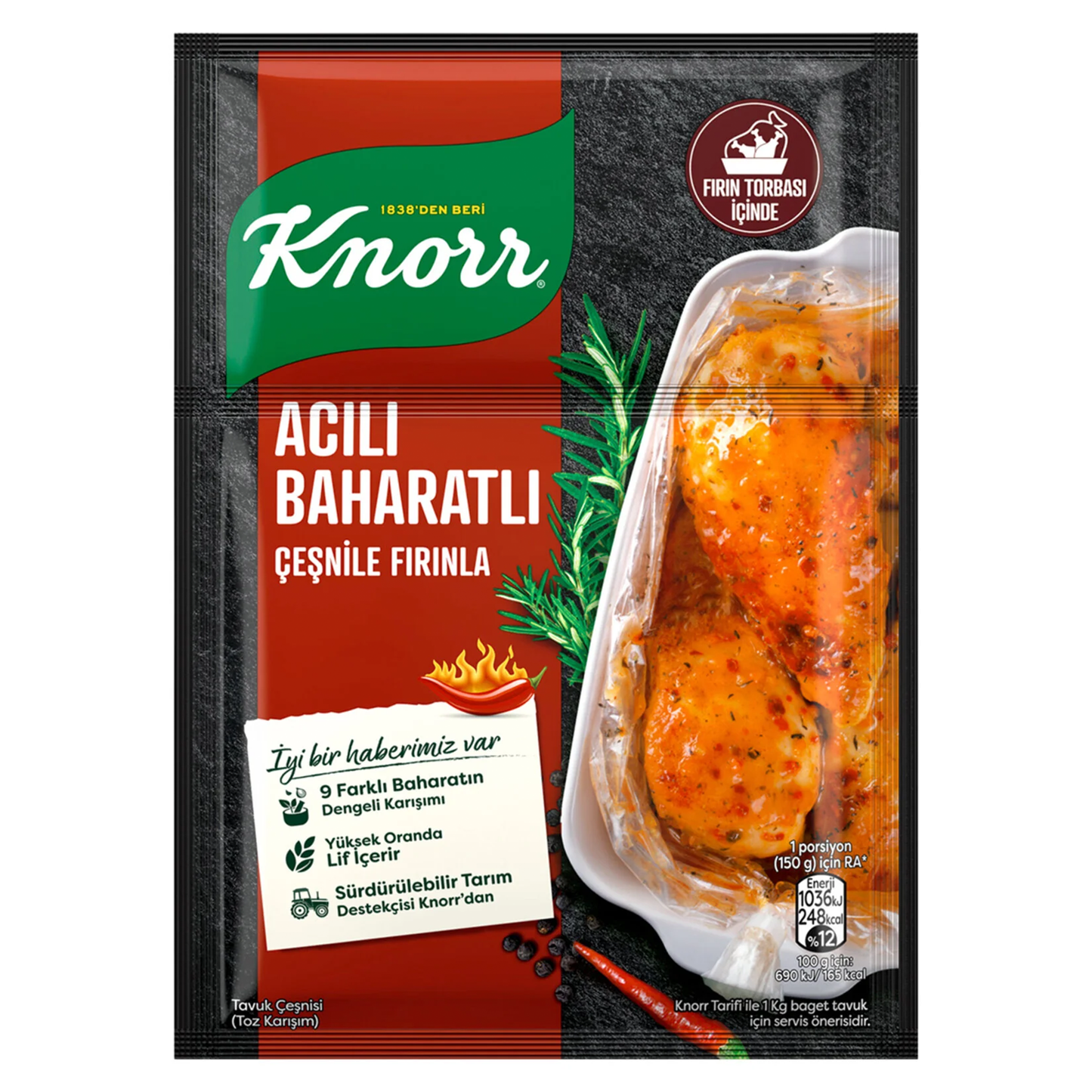 Knorr Hot Spicy Seasoning 31 gr