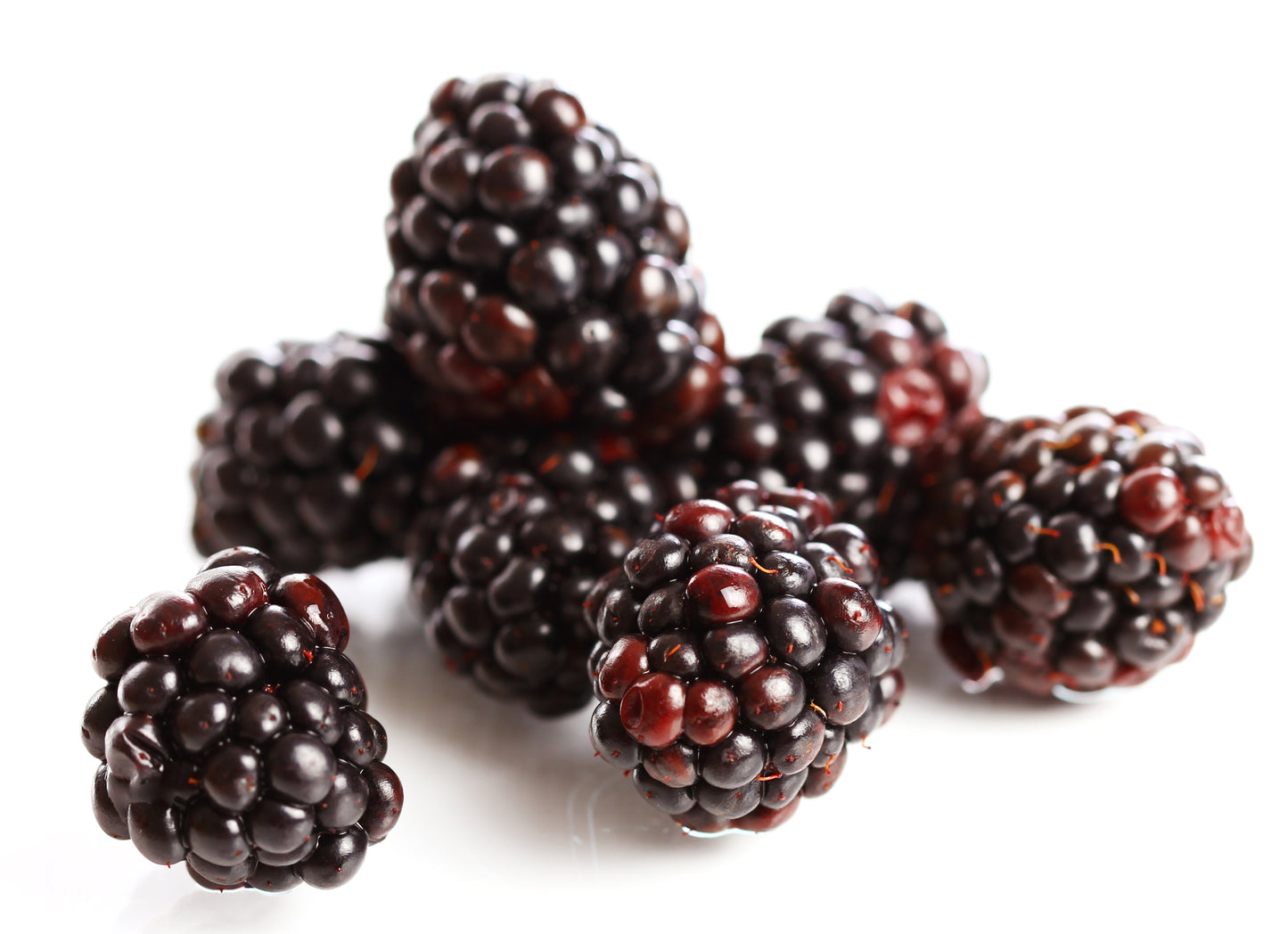 Paradise BlackBerry 6 Oz