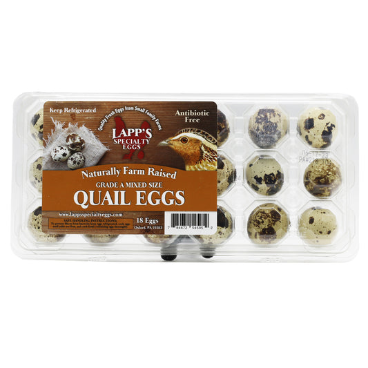 Lapp's 18 Quail Eggs