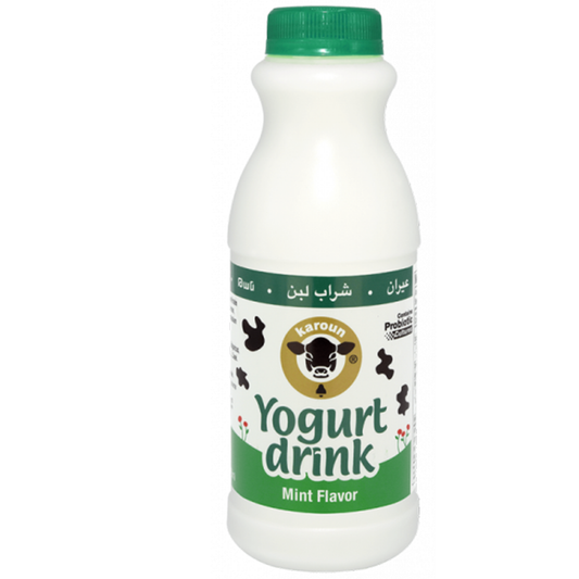 Karoun Original Yogurt Drink Mint 16 fl