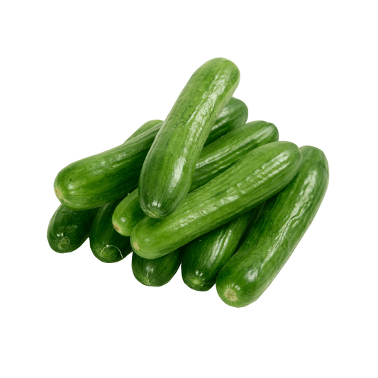 Persian Cucumbers 1 lb