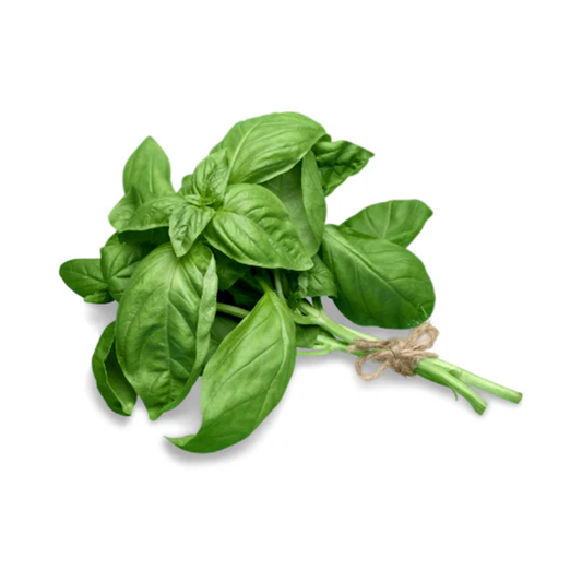 Fresh Basil bunch (2 Oz)