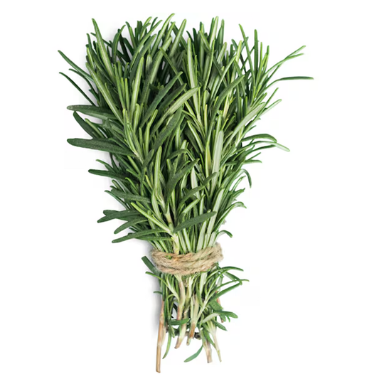 Fresh Rosemary Bunch