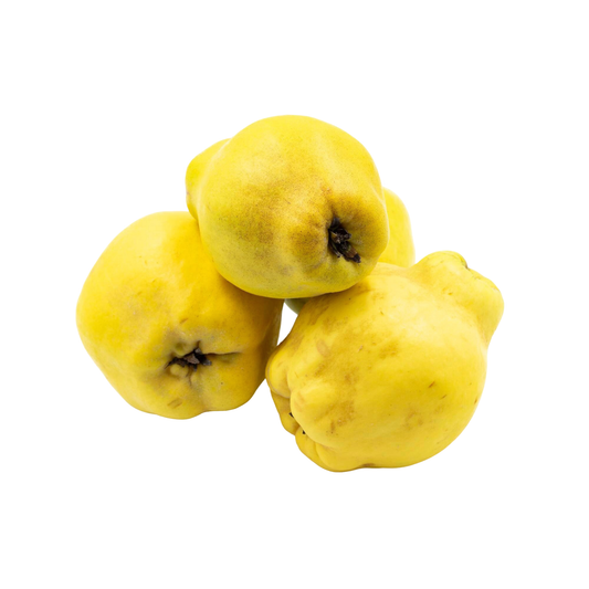 Quince 1 Ct