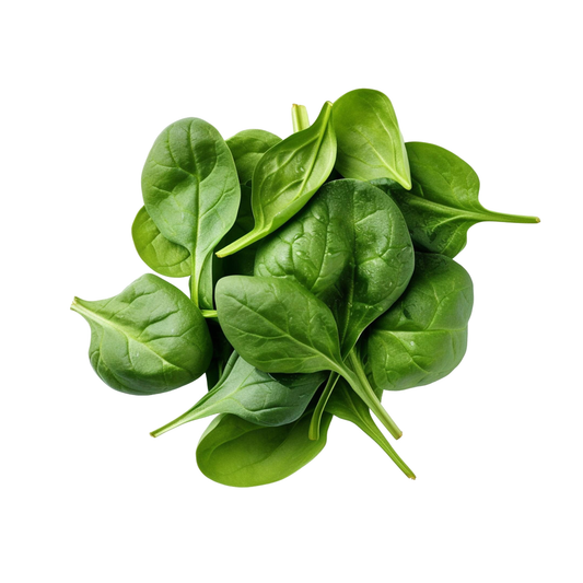 Salad Farm Fresh Spinach 10 oz