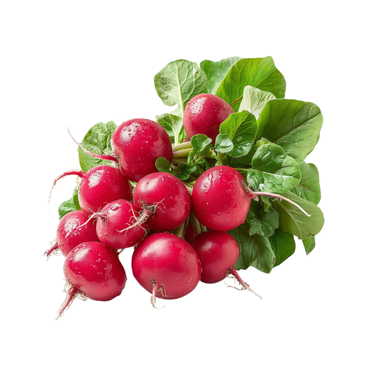 Radishes 1 lb Bag