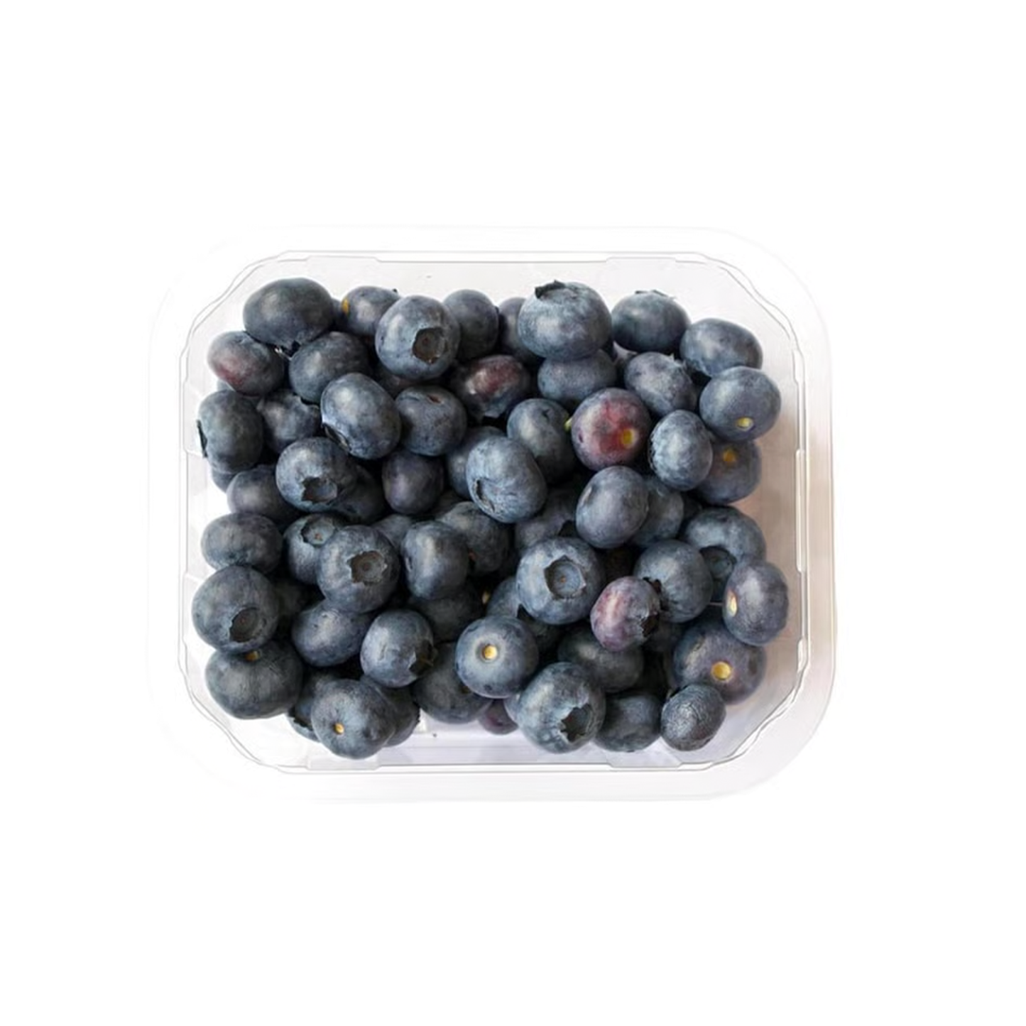 Yummy Blueberries 6 oz
