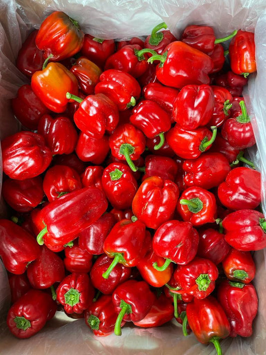Red Bell Peppers (1 lb)