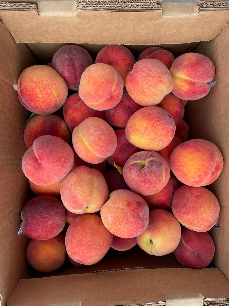 Peaches (1 lb)